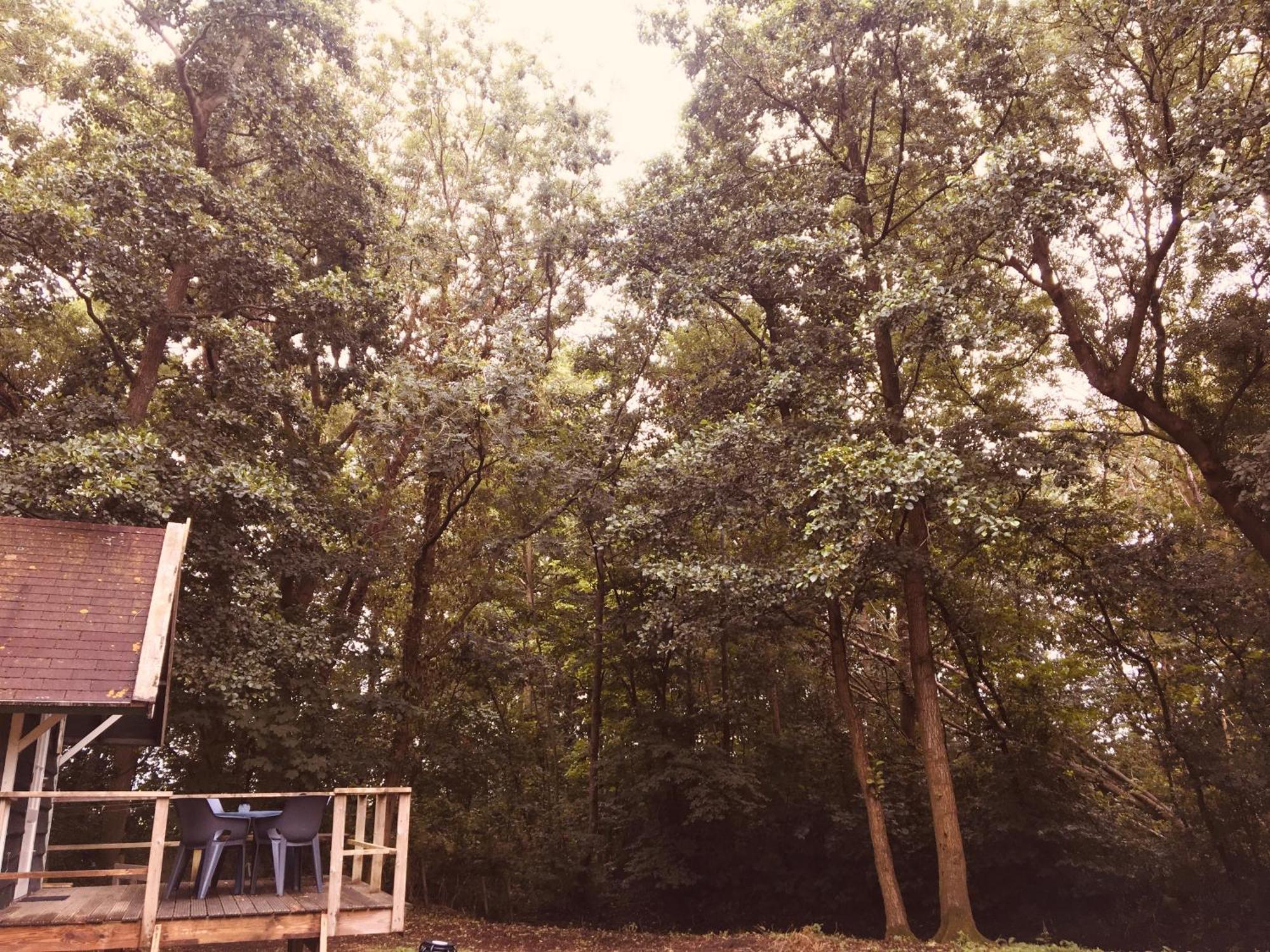 Basic Lodge In Nature Schagerbrug Exterior photo